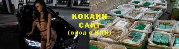 тгк Армянск